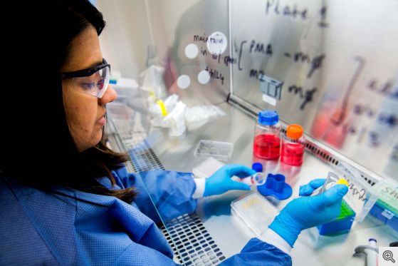 Pooja Mehta, Research Laboratory Tech Associate, constructs a hanging drop spheroid platform. Image credit: Joseph Xu, Michigan Engineering