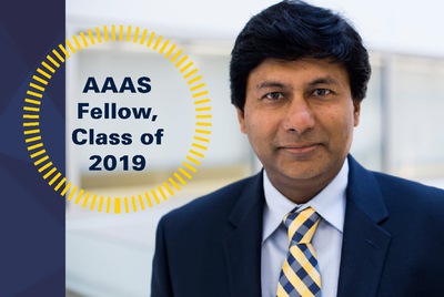Misra named AAAS fellow