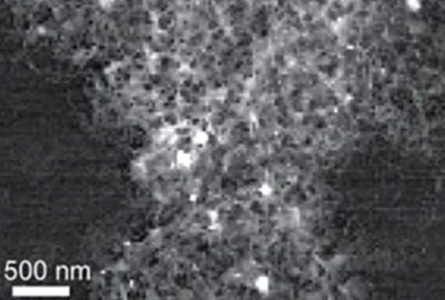 Burned rice hulls could help batteries store more charge