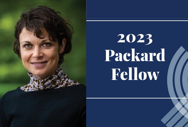Claudia Loebel receives Packard Fellowship to study cellular memory