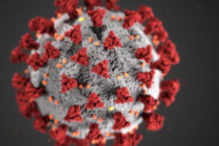 Covid-19 update: all MSE spring events canceled 