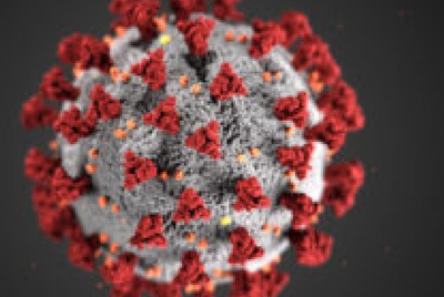 Covid-19 update: all MSE spring events canceled 