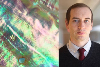 Cracking the mystery of nature’s toughest material