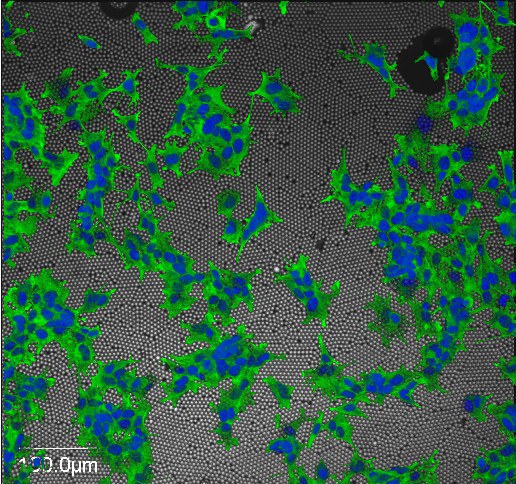 Materials for the Six Million Dollar Man