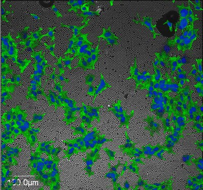 Materials for the Six Million Dollar Man