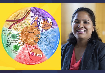 Mehta lab seeks to improve bioengineering models for precision medicine