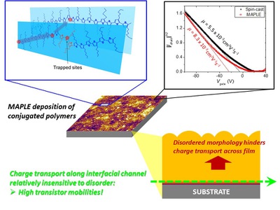 Morphological Disorder Affects Charge Carrier Movement in Conjugated Polymer Films