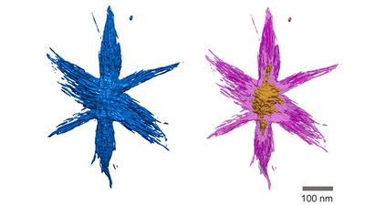 Open-source Software Unlocks 3-D View of Nanomaterials