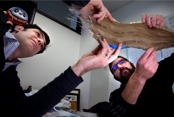 Photonic fibers borrow from butterfly wings to enable invisible, indelible sorting labels