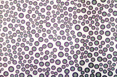 This microscopy image shows the crystal structure of ibuprofen, printed onto a silicon film using organic vapor jet printing. By Max Shtein