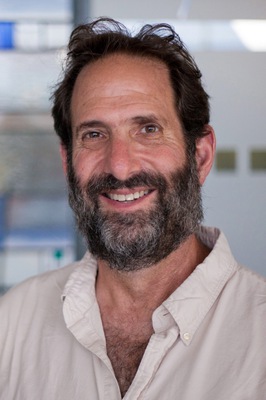 Professor Steve Yalisove awarded Provost's Teaching Innovation Prize