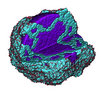 Regenerative medicine: Injectable stem cell incubator