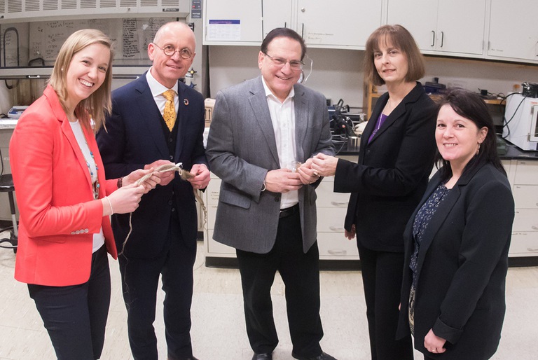 Stronger, stiffer, greener: Carbon-negative natural-fiber composites