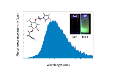 The Kim group finds the roles of molecular motions in room temperature phosphorescence
