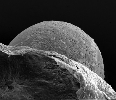 Jeff Hendricks, Grand Prize Winner - Artistic Merit