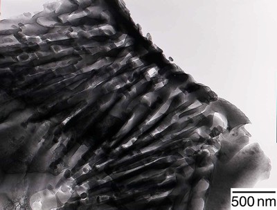 Jessica TerBush, 2nd Place - TEM, X-ray Imaging and Surface Probe Techniques