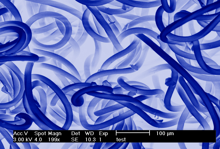 Jessica Bickel, 3rd Place - Digitally Enhanced or Colorized Images of Microstructures