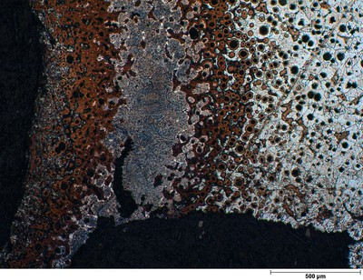 Steve Coryell, 3rd Place - Optical and Scanning Electron Microscopy