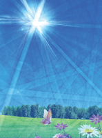 Credit: Mohsen Taheri Andani