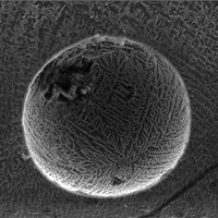 Credit: Metin Kayitmazbatir